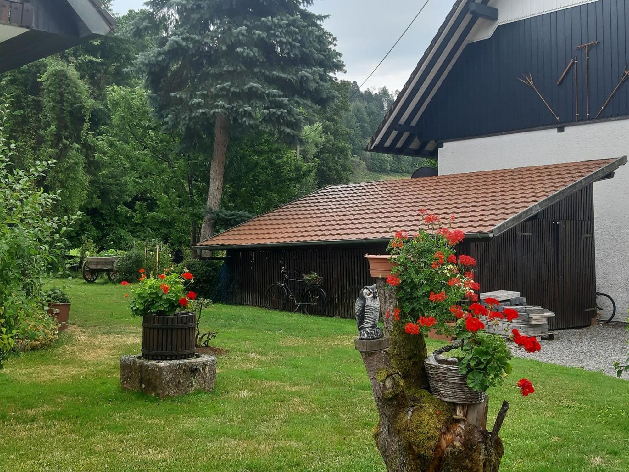 Ferienapartment Karle Nordrach Kültér fotó